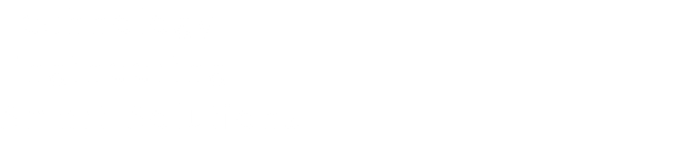 Technology Engineering Smart Solutions